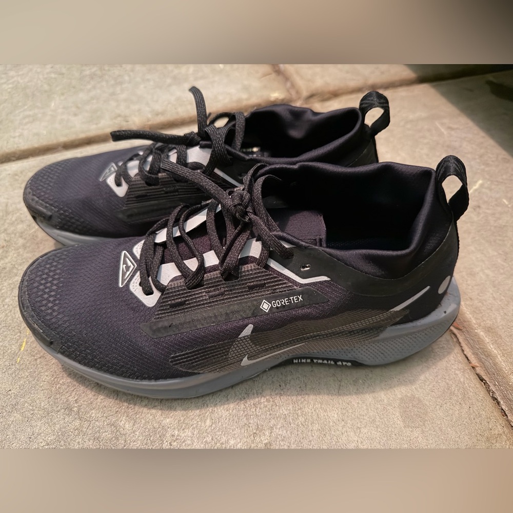 Nike Pegasus Trail 5 Gore Tex - Picture 2 of 6
